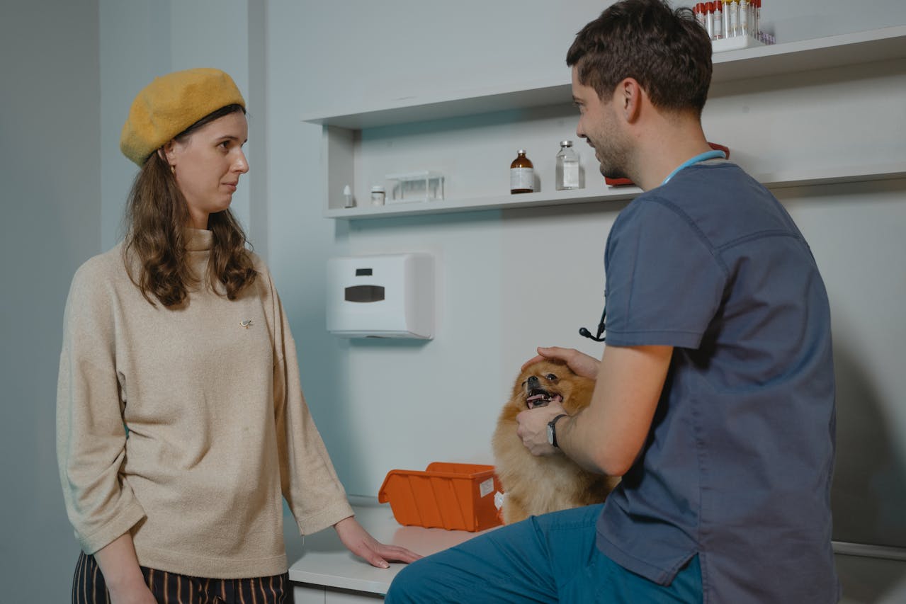The UK pet industry