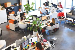 marketplace link building