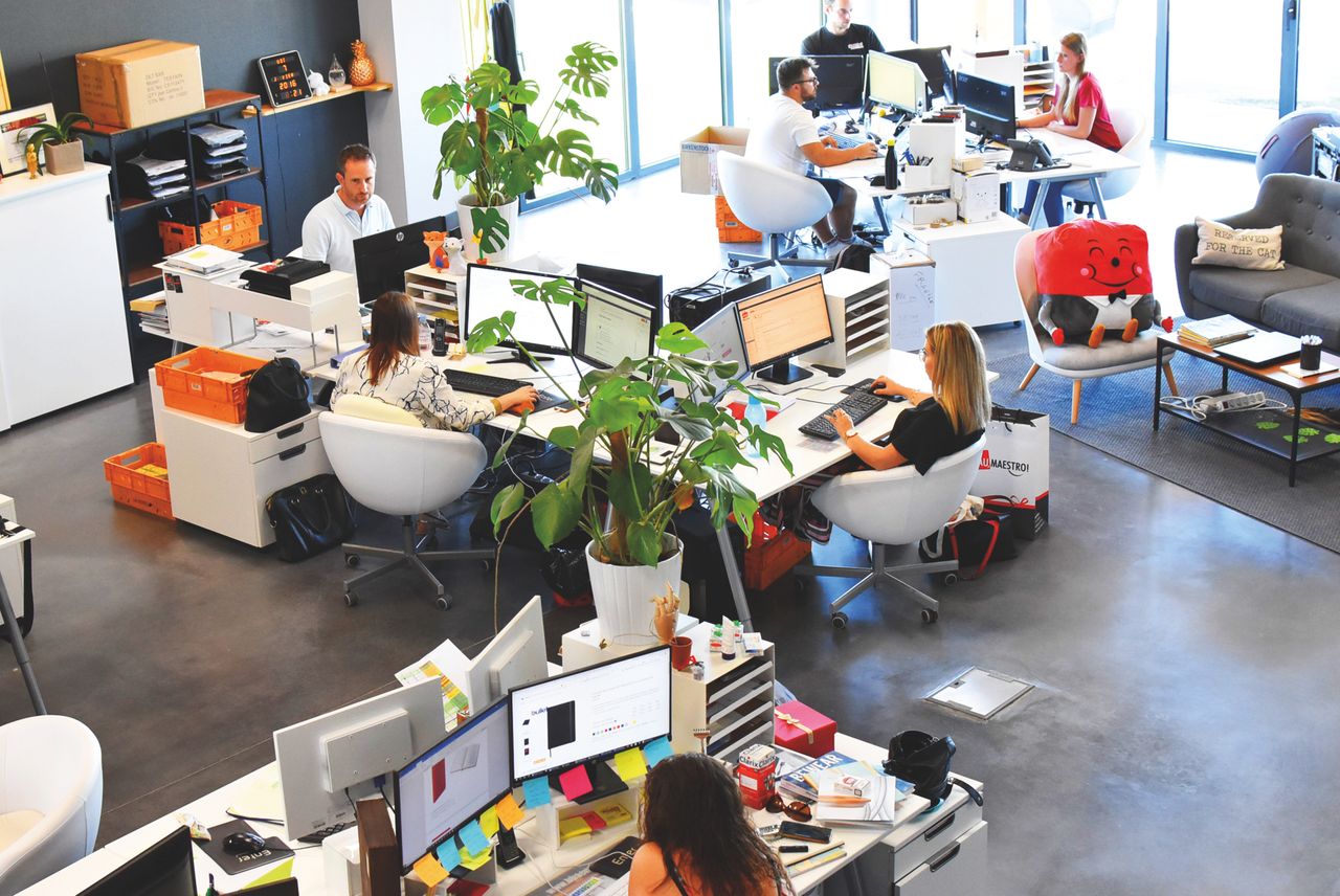 marketplace link building