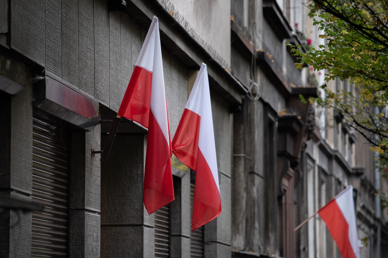 poland link building