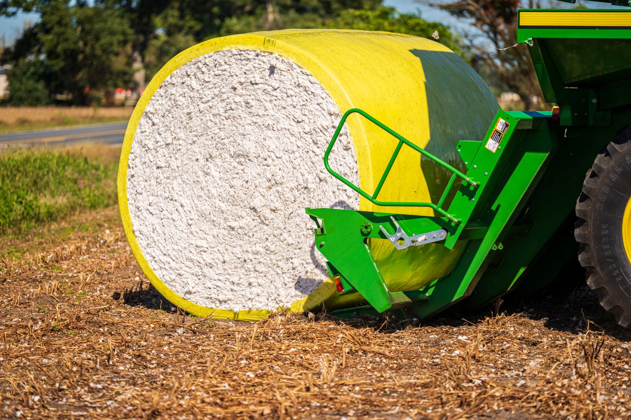 agritech link building